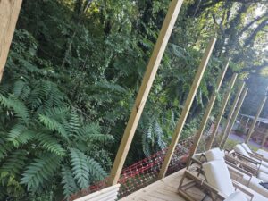 Backyard pool privacy fence construction